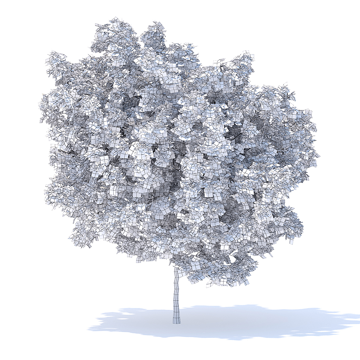 1200x1200 Lemon Tree 3d Model 4.4m - Lemon Tree Sketch