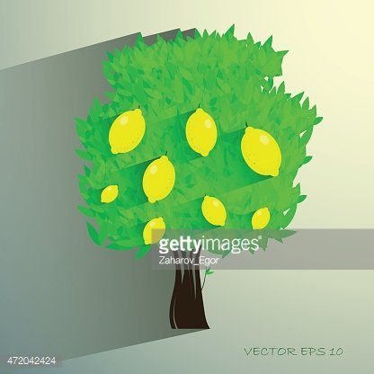 416x416 Lemon Tree Isolated On White Vector Illustration Premium Clipart - Lemon Tree Sketch