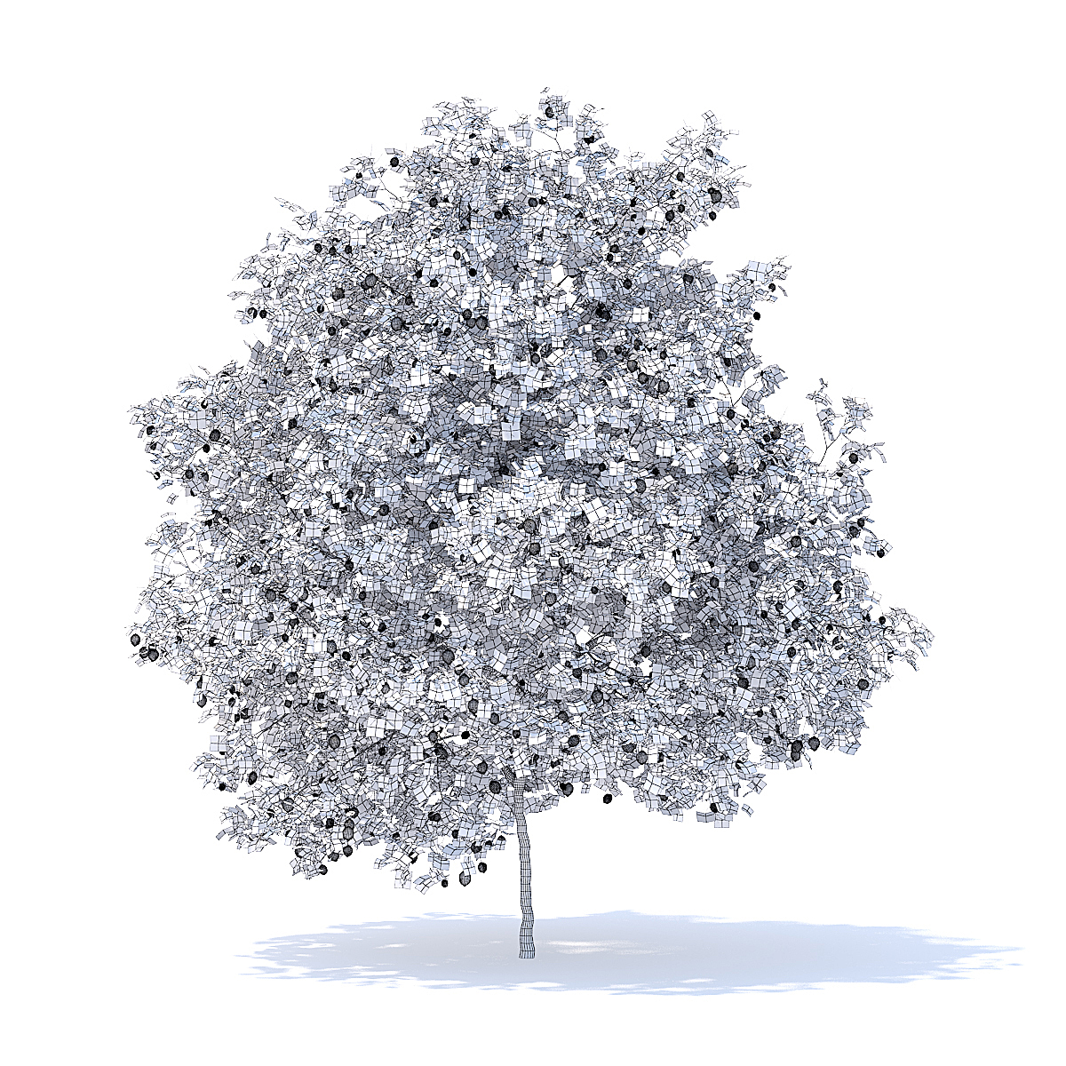 1200x1200 Lemon Tree With Fruits 3d Model 6m - Lemon Tree Sketch