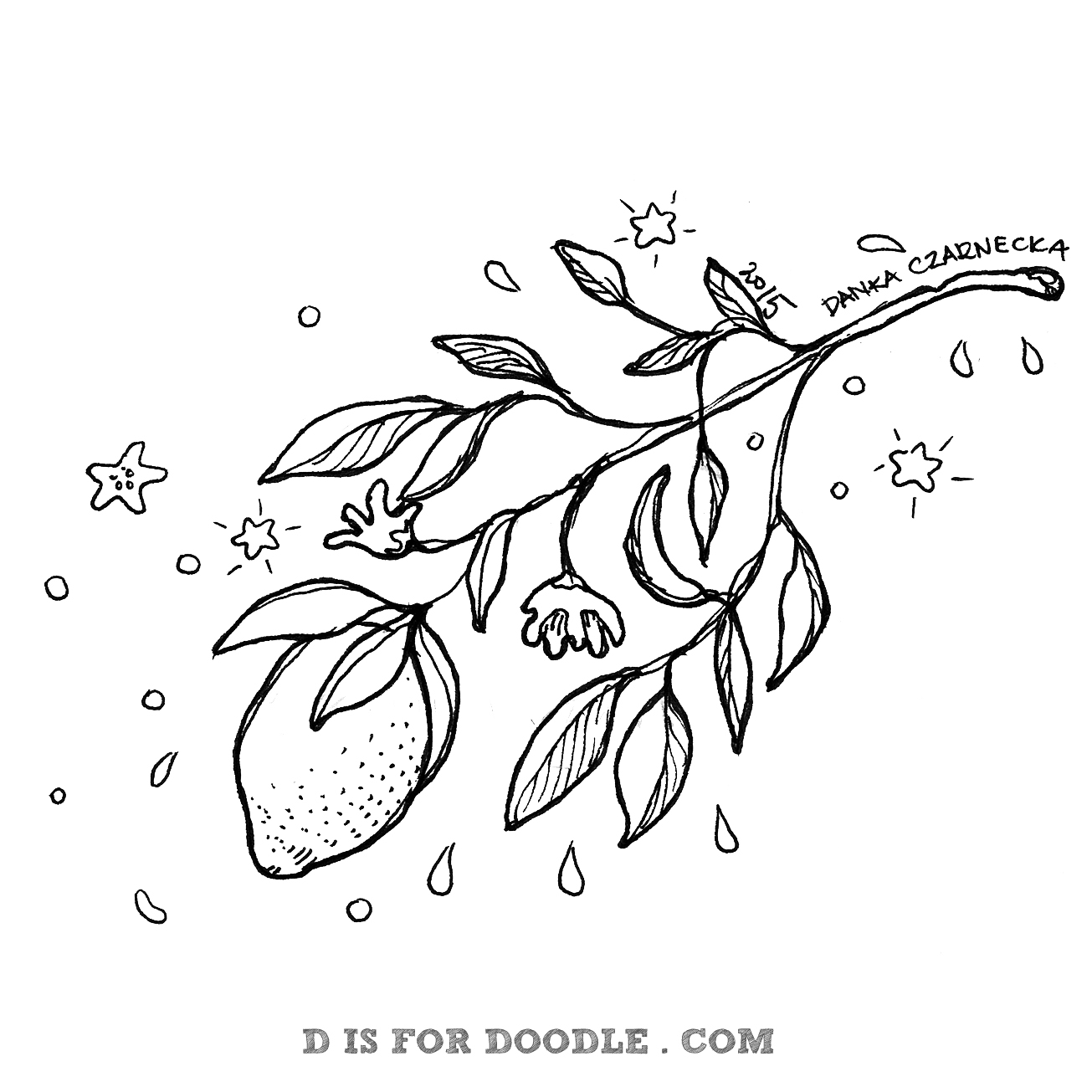 1305x1305 Lemon Tree D Is For Doodle - Lemon Tree Sketch