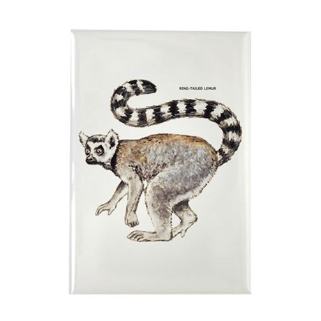 460x460 Madagascar Lemur Home Amp Decor - Lemur Sketch