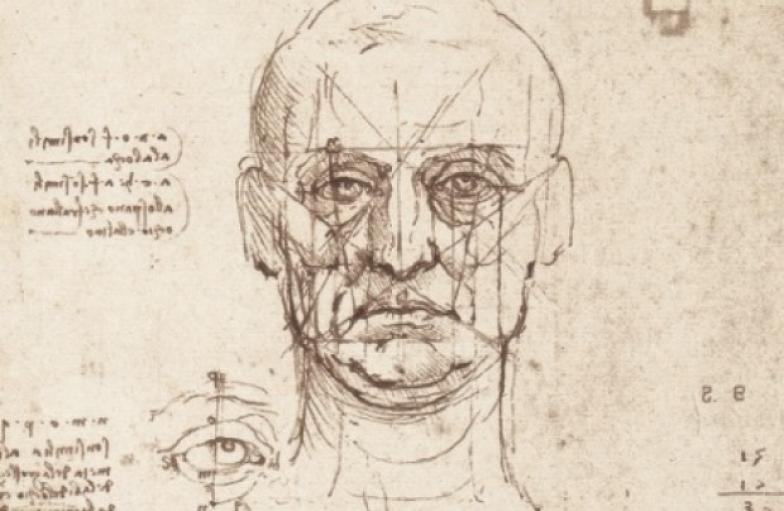 784x511 Rare Leonardo Da Vinci Sketches On Display In Venice - Leonardo Da Vinci Sketches