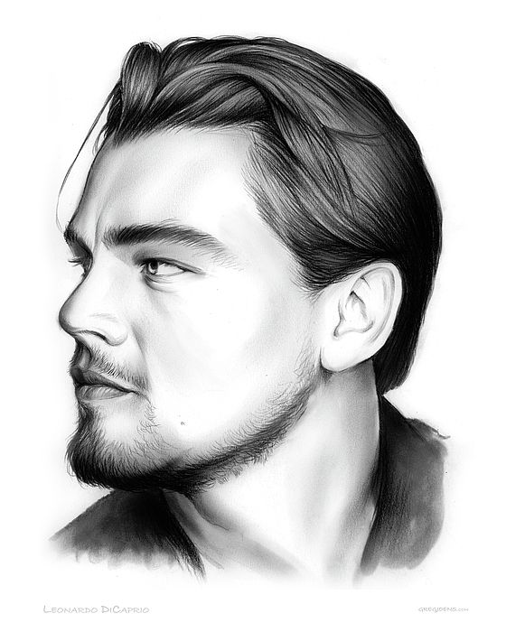 560x700 Leonardo Dicaprio Pencil Sketch Celebrity Fan Art - Leonardo Dicaprio Sketch