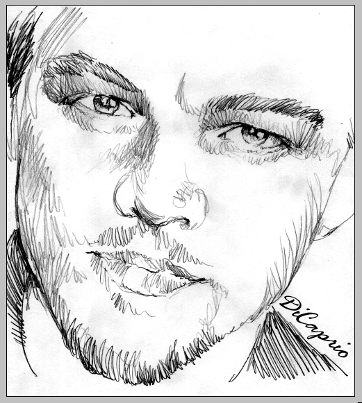 521x581 Sketch Of The Day Leonardo Dicaprio - Leonardo Dicaprio Sketch
