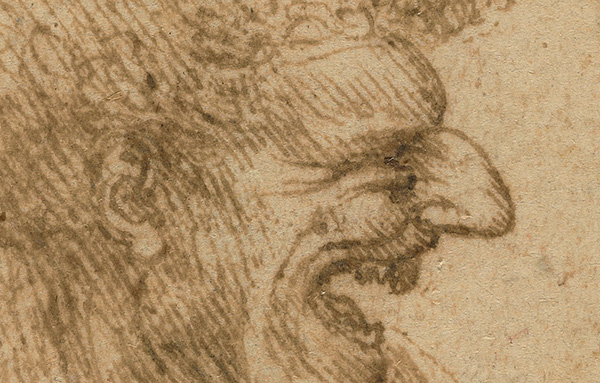 600x383 Leonardo Da Vinci, Renaissance Lefty The Getty Iris - Leonardo Sketches