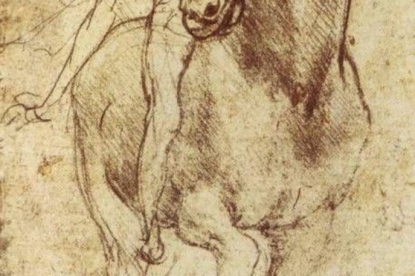 600x400 Leonardo Da Vinci Sketches Of Cats Amazonamazon - Leonardo Sketches