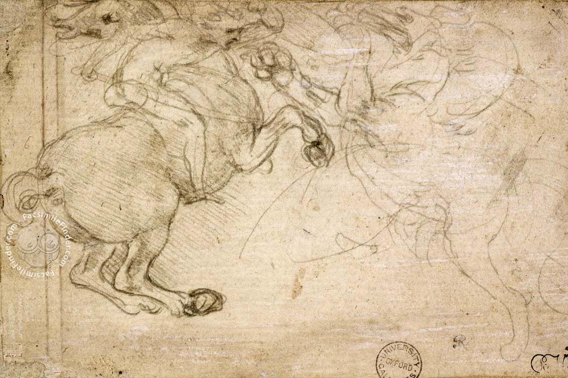 1128x752 Drawings Of Leonardo Da Vinci And His Circle - Leonardo Sketches