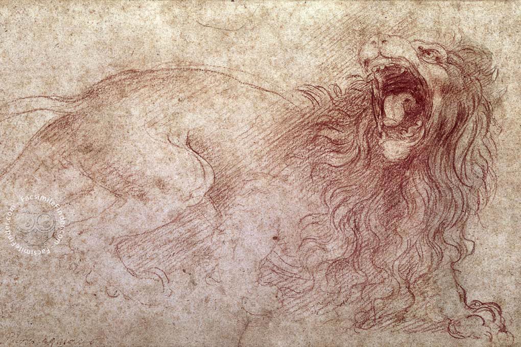 1020x680 Drawings Of Leonardo Da Vinci And His Circle - Leonardo Sketches