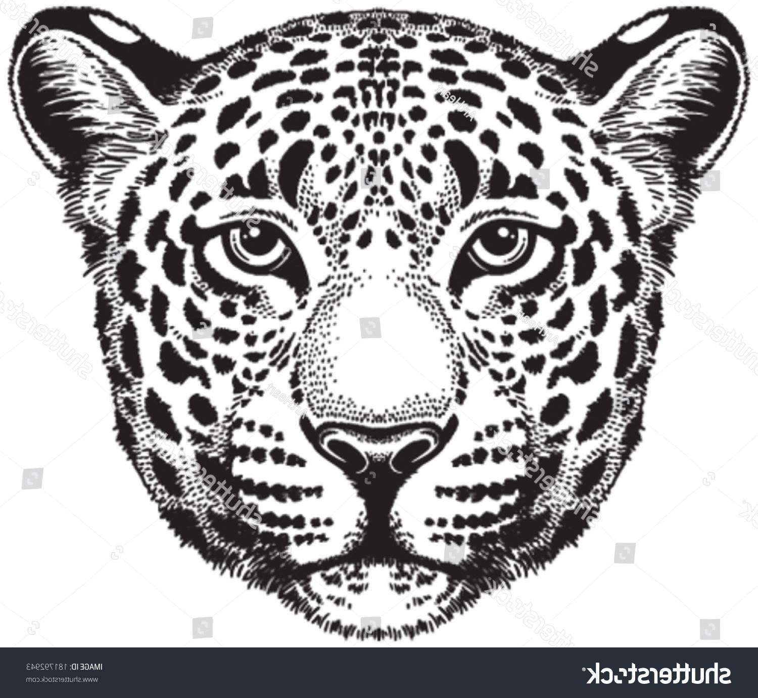 1500x1380 Hd Stock Vector Black And White Sketch Of Leopard Face Drawing - Leopard Face Sketch