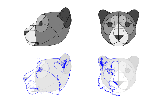 688x418 How To Draw Big Cats Lions, Tigers, Cheetahs, And Much More - Leopard Face Sketch