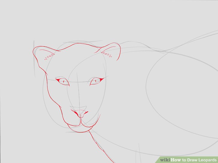 728x546 How To Draw Leopards 11 Steps (With Pictures) - Leopard Face Sketch