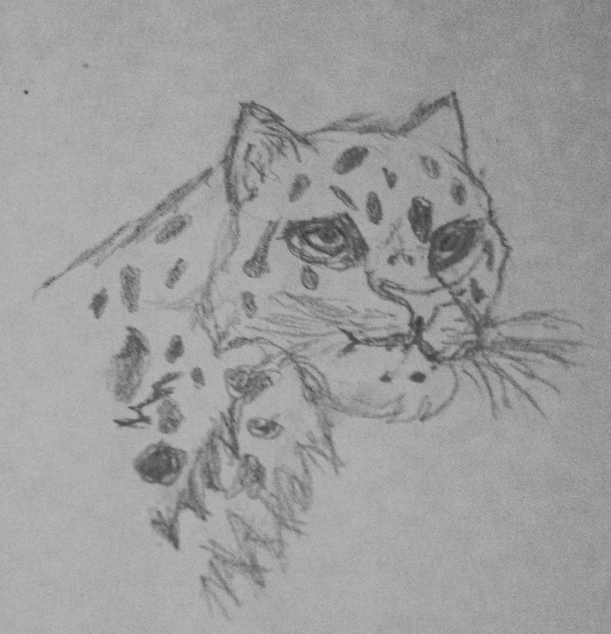 877x911 Leopard Face Sketch By Jlp99 - Leopard Face Sketch