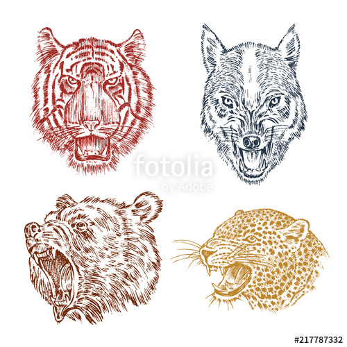 500x500 The Face Of Brown Grizzly Bear, Leopard And Jaguar. Portrait Of - Leopard Face Sketch