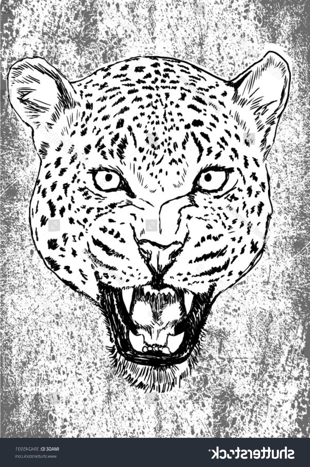 1064x1600 Best Hd Stock Vector Sketch Of Leopard Face Images - Leopard Face Sketch