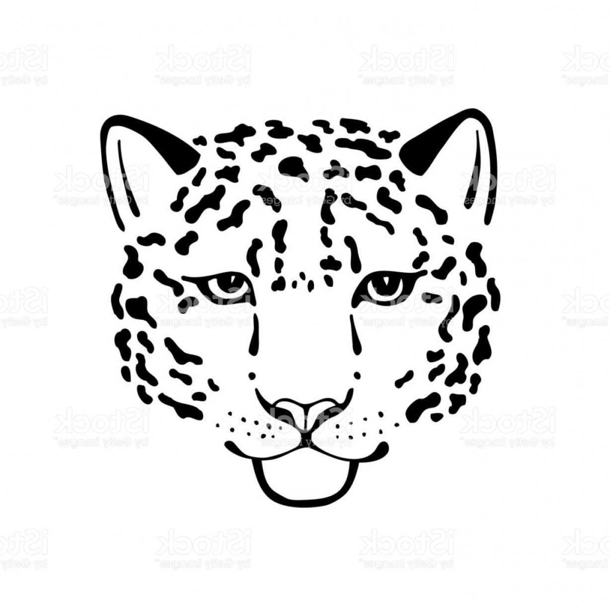 1228x1228 Black And White Vector Sketch Head Of Leopard Gm Lazttweet - Leopard Face Sketch
