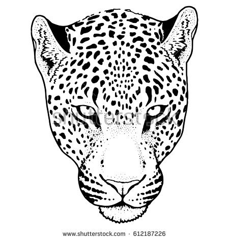 450x470 Collection Of Leopard Face Tattoo Drawing - Leopard Face Sketch