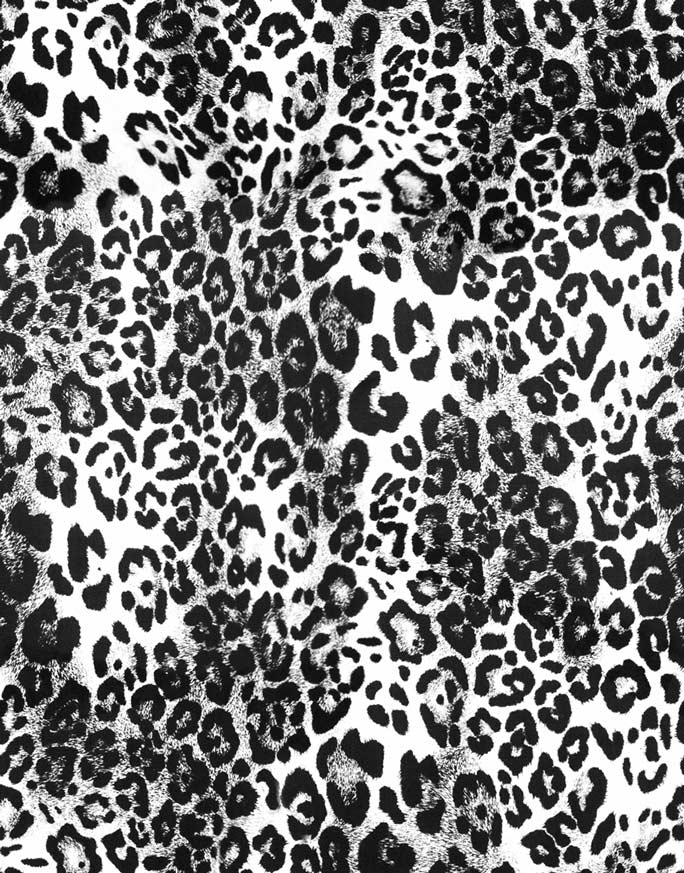 684x873 Javascript - Leopard Print Sketch