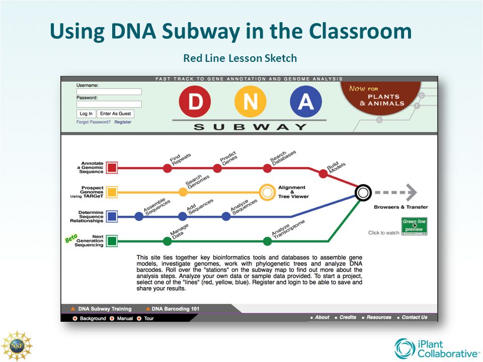960x720 Using Dna Subway In The Classroom Red Line Lesson Sketch. - Lesson Sketch