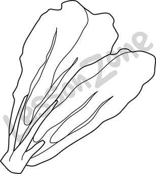 308x345 Lettuce Leaf Outline - Lettuce Sketch
