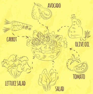 366x368 Salad Vector Free Vector Download (80 Free Vector) For Commercial - Lettuce Sketch