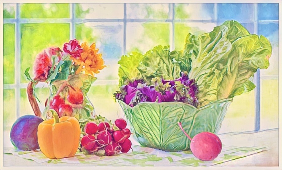 Lettuce Sketch at Explore collection of Lettuce Sketch