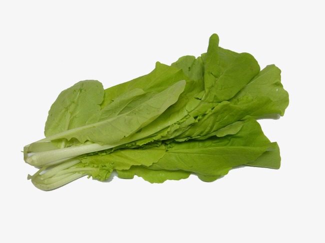 650x487 Vegetables Picture Vegetables Sketch,lettuce, Vegetables Clipart - Lettuce Sketch