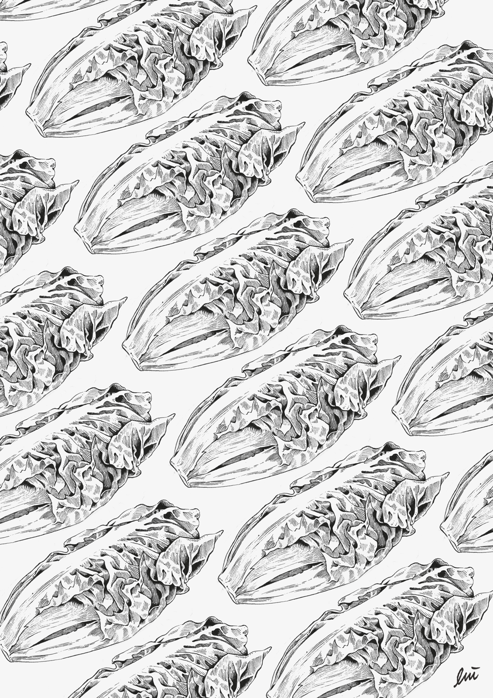 1000x1415 Wong Chi Lui Daily Sketch - Lettuce Sketch