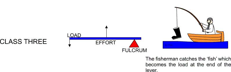 795x249 Classes Of Lever - Lever Sketch