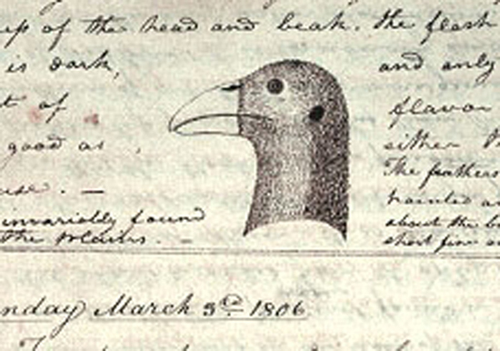 550x386 March 2, 1806 Journals Of The Lewis And Clark Expedition - Lewis And Clark Sketches