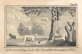 310x205 Patrick Gass - Lewis And Clark Sketches