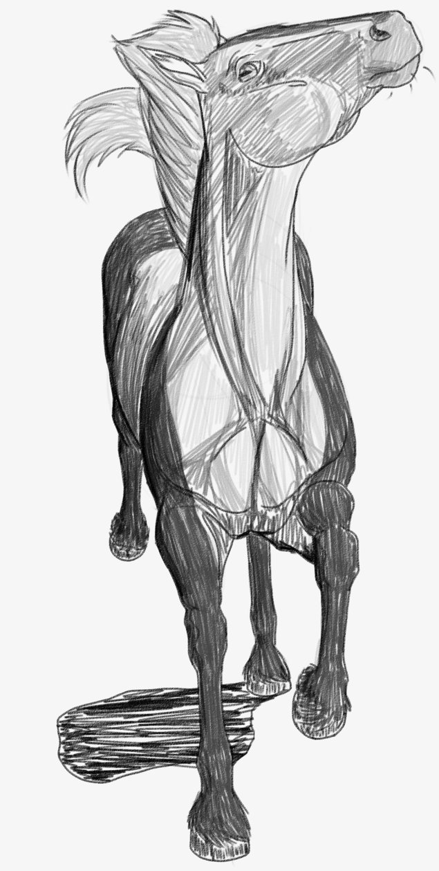 635x1259 Cowboy Liberty Sketch Show By Lionsilverwolf - Liberty Sketch