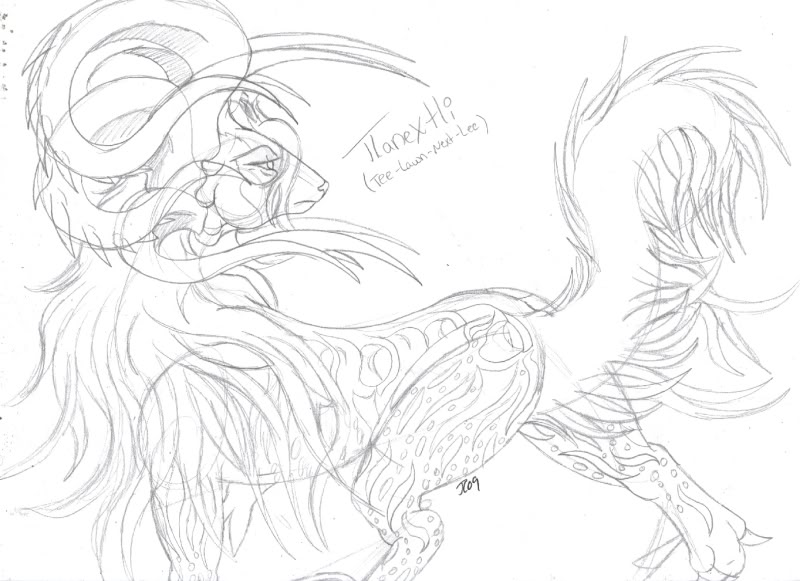 800x581 The Radiance Of Life Sketch The Endless Forest - Life Sketch Meaning