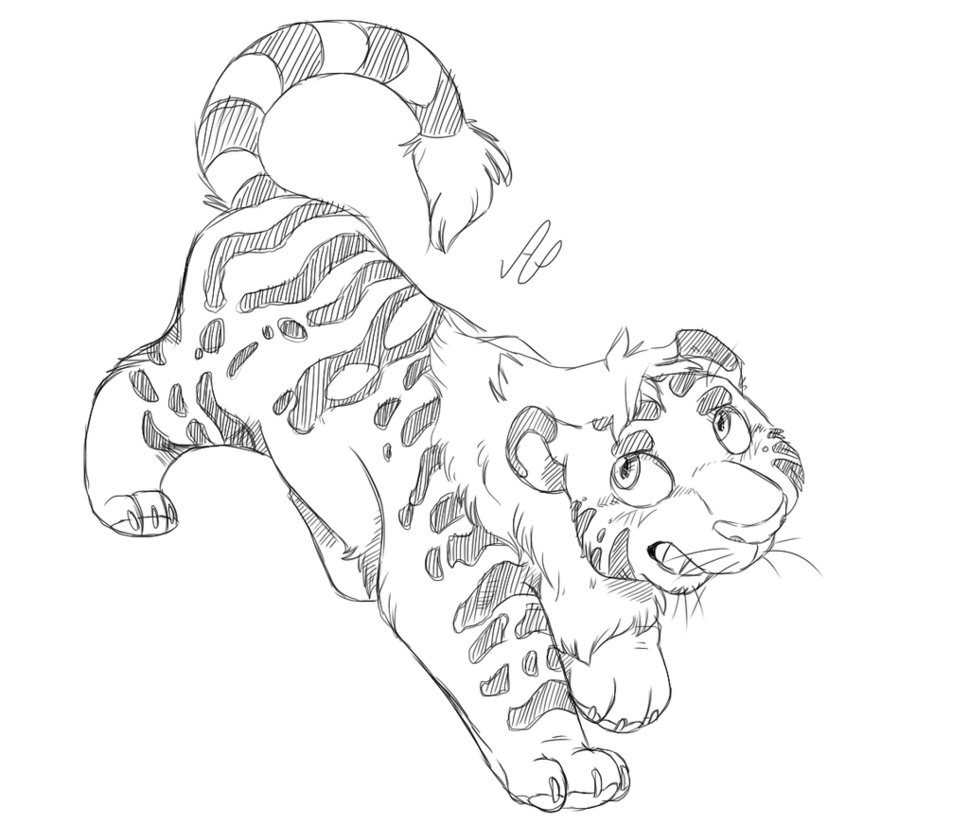 969x824 Liger Sketch By Albino Penguin - Liger Sketch