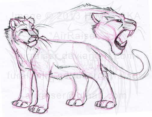 506x389 Liger Sketches 2013 By Airraiser - Liger Sketch