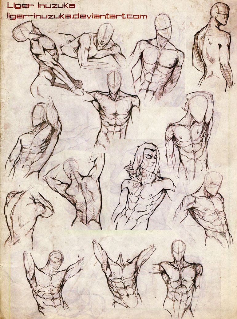 771x1036 Male Body Study By Liger Inuzuka Cg - Liger Sketch