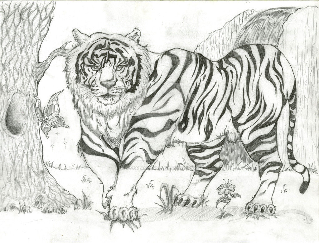 1023x781 Liger Sketch. By Devon Antonio - Liger Sketch