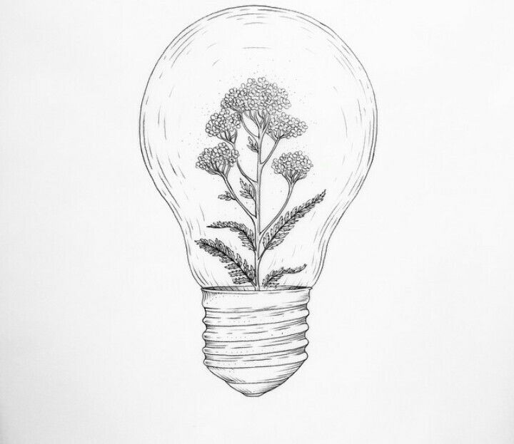 720x623 Pin By Cheap Flowers Online On Bouquet Of Roses - Light Bulb Sketch