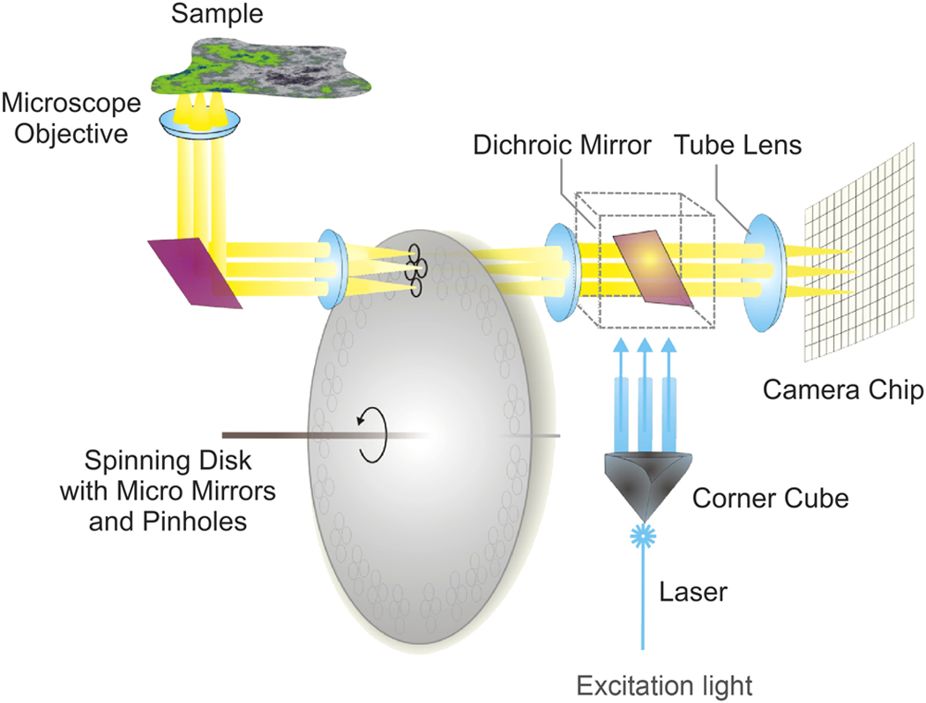 926x703 Figure 2 Sketch Of The Working Principle Of A Confocal Laser - Light Microscope Sketch