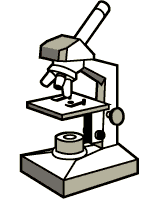 150x200 How To Use The Microscope - Light Microscope Sketch