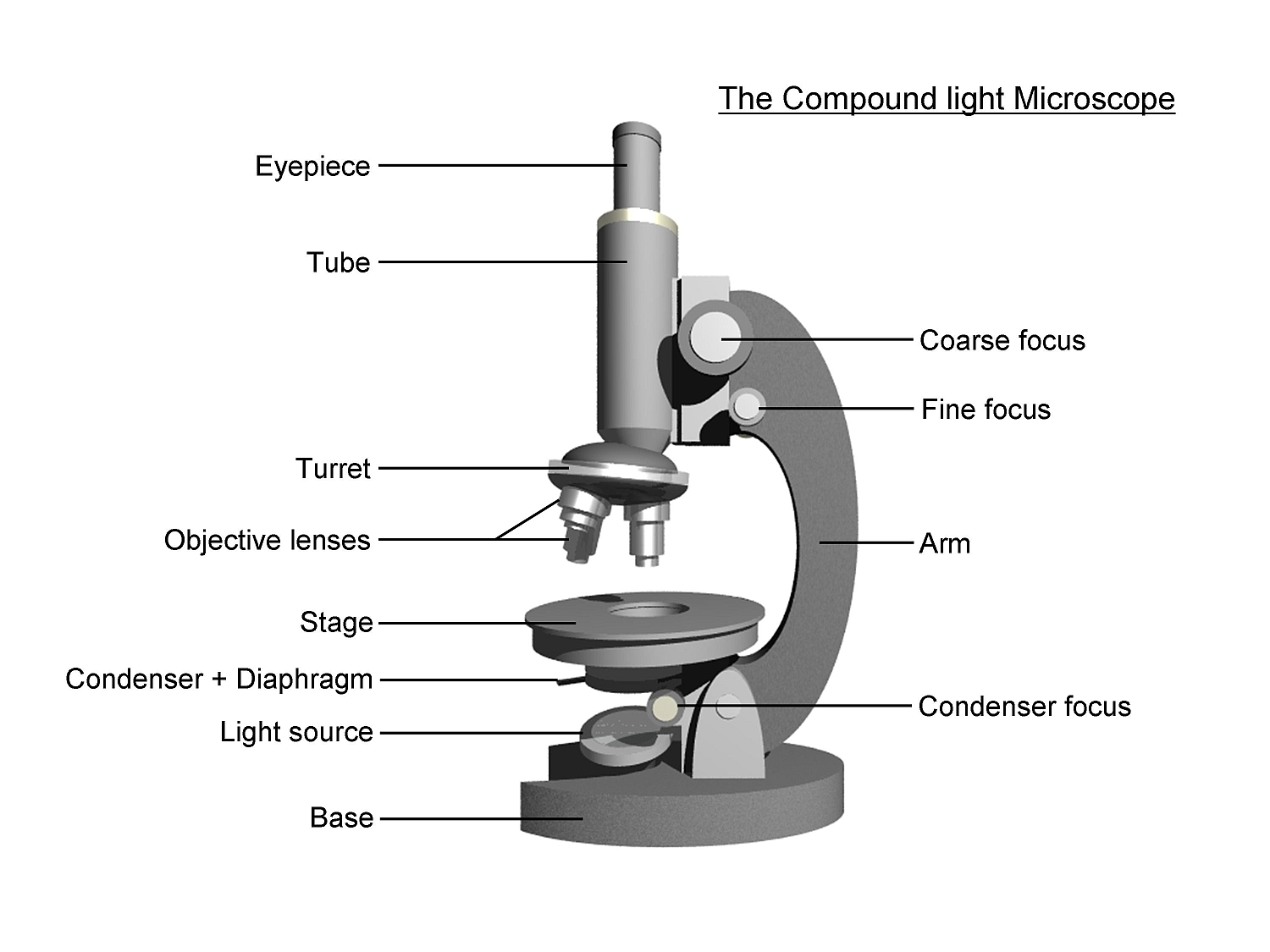 Labeled Microscope Lens Diagram Micropedia