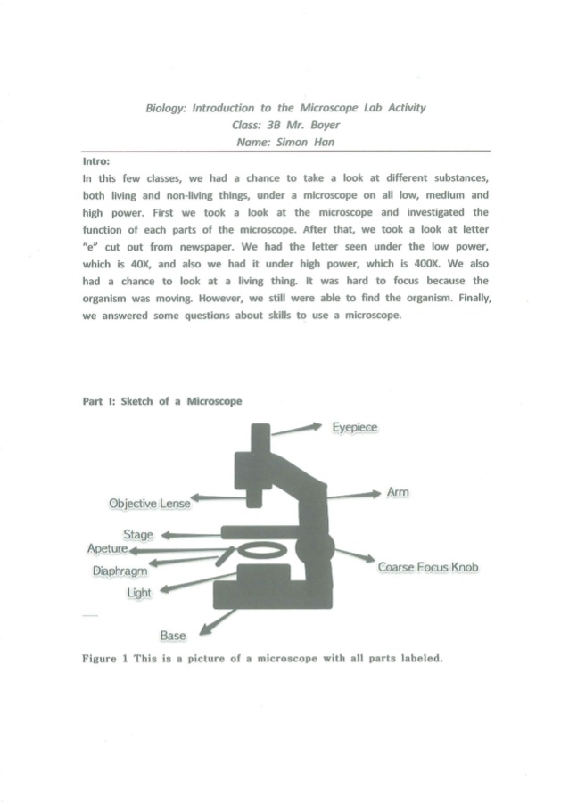 638x903 Microscope Lab - Light Microscope Sketch