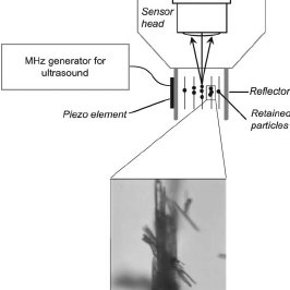 266x266 Sketch - Light Microscope Sketch