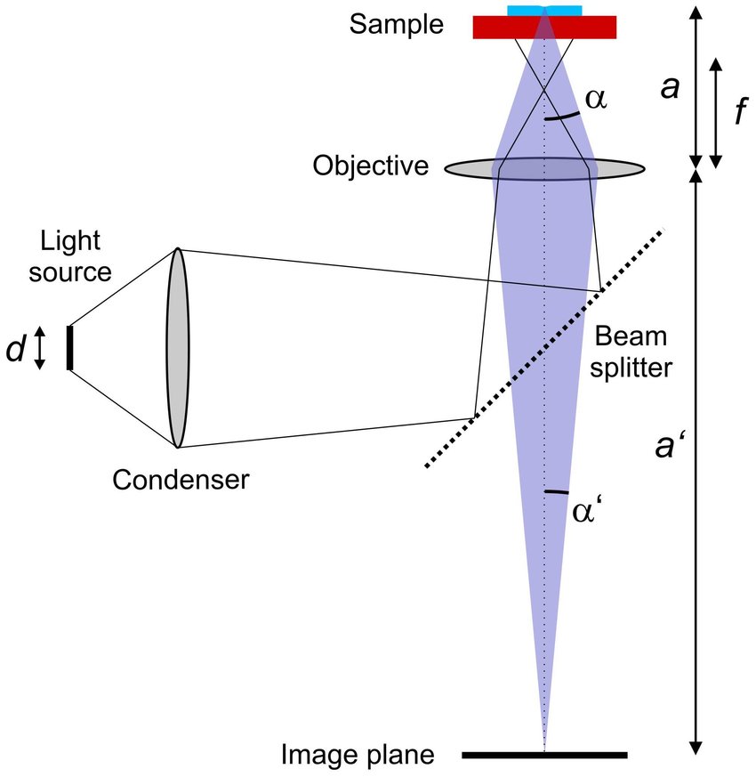 850x873 Sketch Of The Microscope Geometry (Not To Scale) Used In Our - Light Microscope Sketch