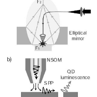 320x320 A) Sketch Of The Cryogenic Nsom Microscope Used In (Brun Et Al - Light Microscope Sketch