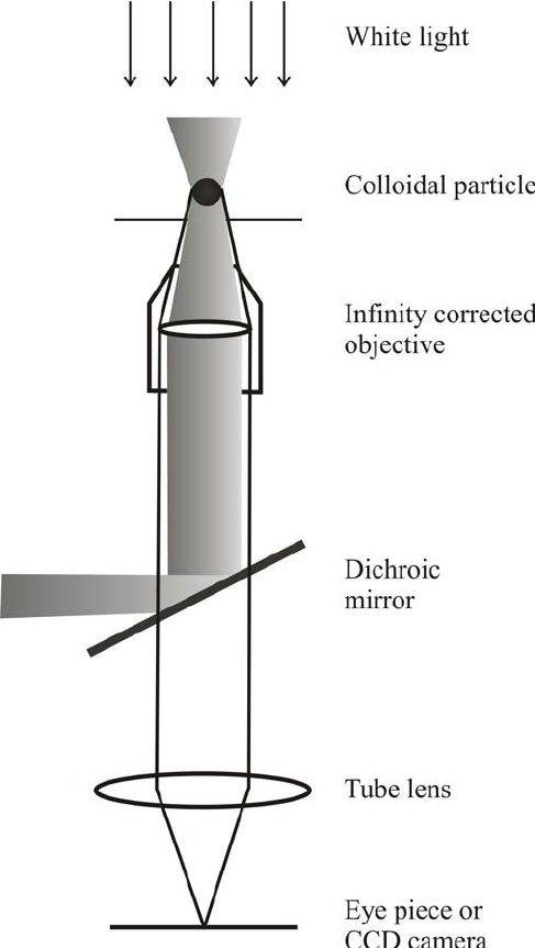 487x862 A Sketch Of A Simple Optical Tweezers Arrangement. The Microscope - Light Microscope Sketch