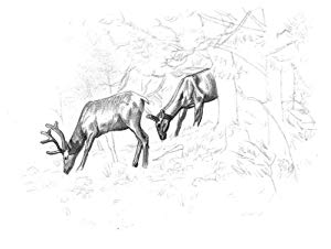 300x226 Pencil Art Workshop Techniques, Ideas, And Inspiration For - Light Pencil Sketch