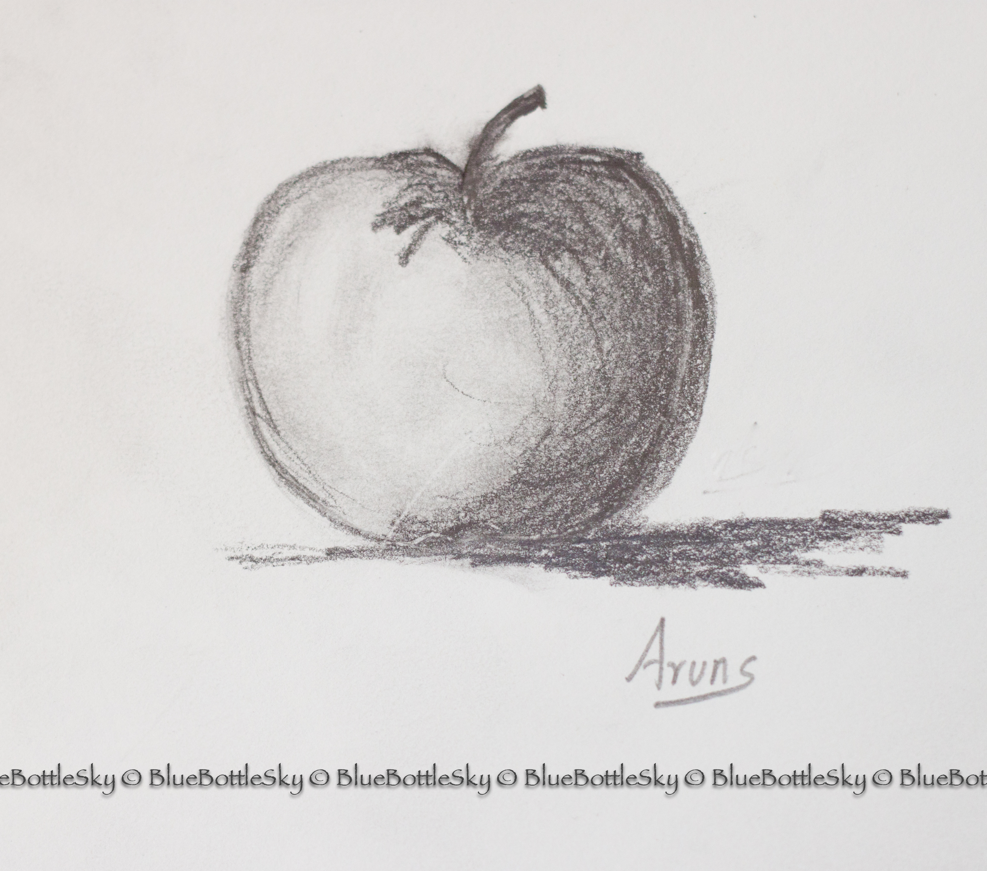 3373x2977 Pencil Sketching Day 1 Apple Bluebottlesky - Light Pencil Sketch