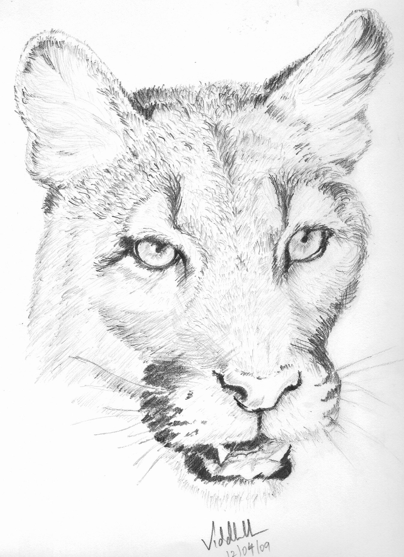 1345x1855 Photo To Pencil Sketch Animal Pencil Sketch Light And Shade - Light Pencil Sketch