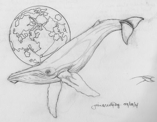 512x398 Preliminary Sketch Of Moon By Whale Light Jane E Murphy Art - Light Post Sketch