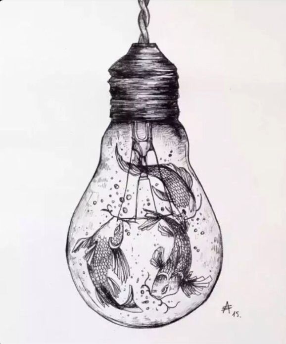 578x695 Interesting Sketch Koi Fish, Light Bulb Unknown Artist Sketchy - Light Sketch